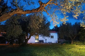 Rizaki Cottage in Nafpaktos